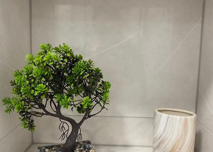 Apartamento Ivo&martina *